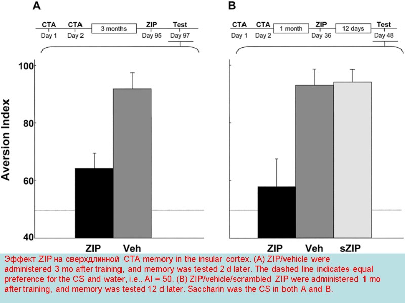 Эффект ZIP на сверхдлинной CTA memory in the insular cortex. (A) ZIP/vehicle were administered